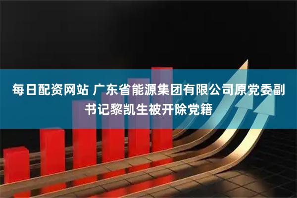 每日配资网站 广东省能源集团有限公司原党委副书记黎凯生被开除党籍